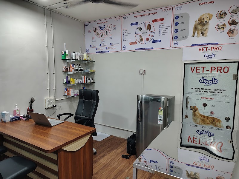 Starwing Veterinary Hospital and Surgical Center — Photo 2