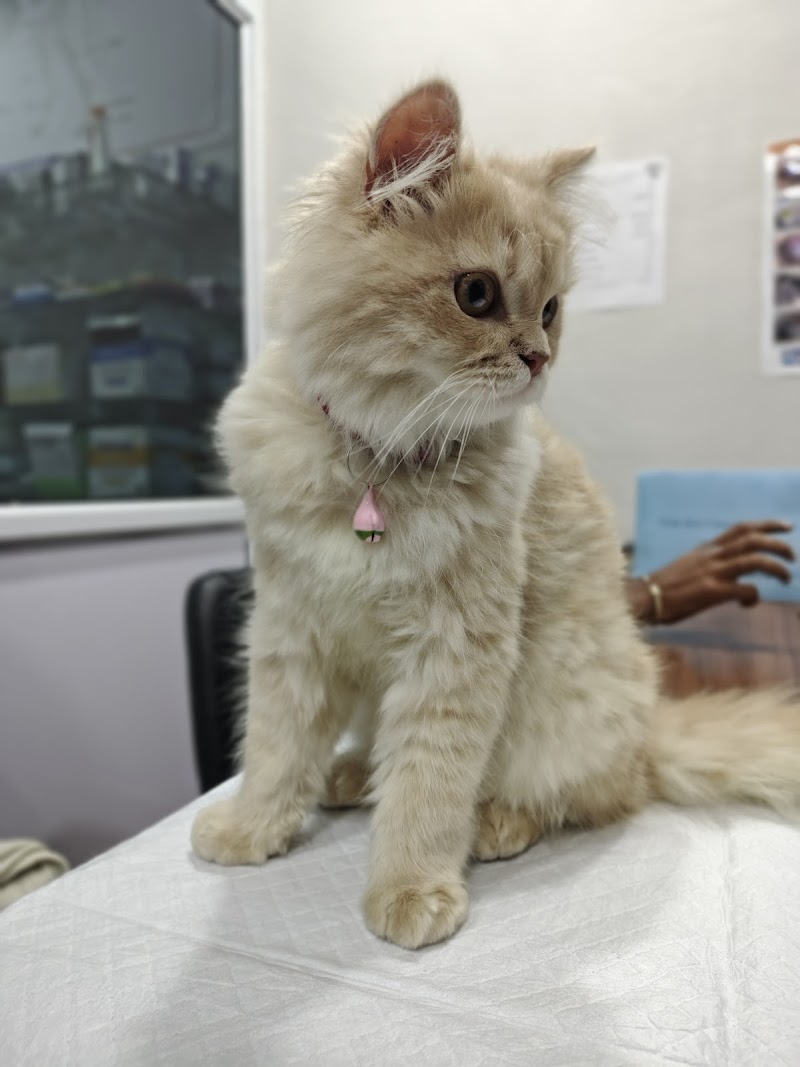 Starwing Veterinary Hospital and Surgical Center — Photo 4