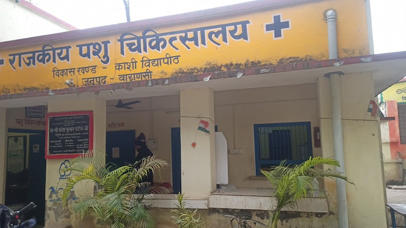 State veterinary hospital