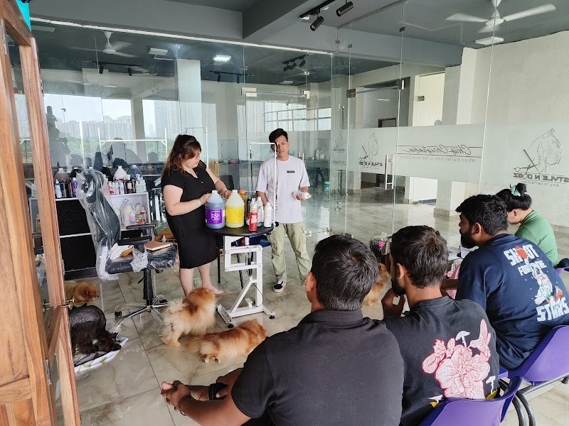Style N Dogz in Noida (Pet Grooming & Academy) — Photo 2