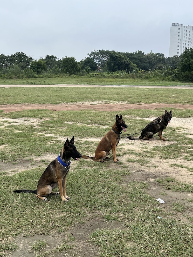 Sugu's Dog Artistry- SDA