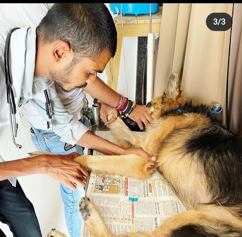 Superpet veterinary clinic — Photo 2