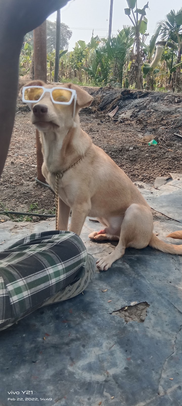 Suraksha K9 Academy Coimbatore