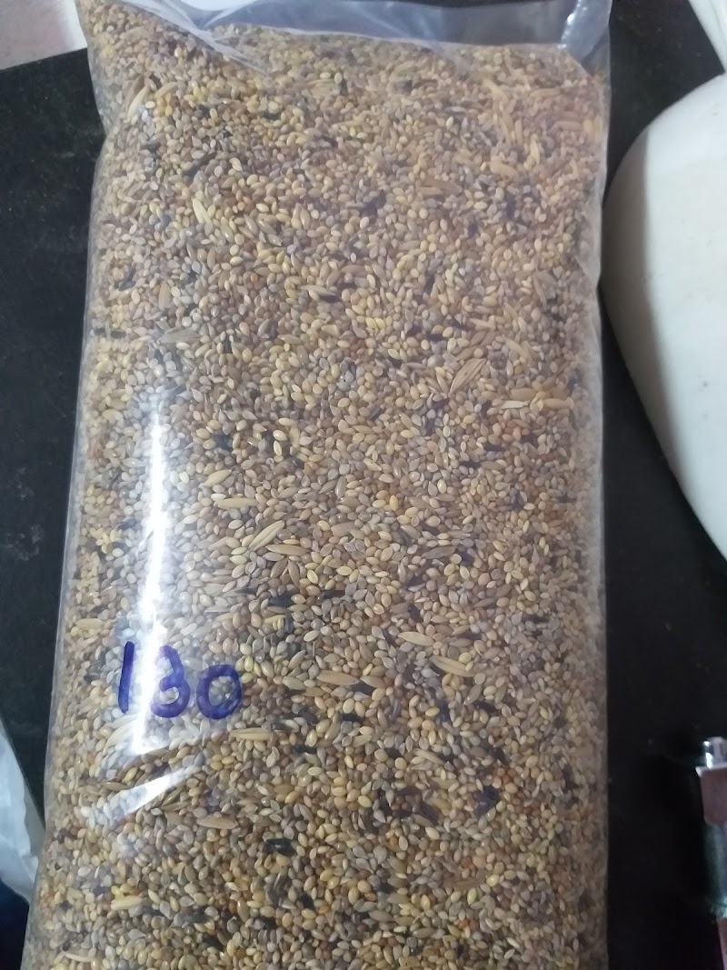 Surat Birds Lover — Photo 4