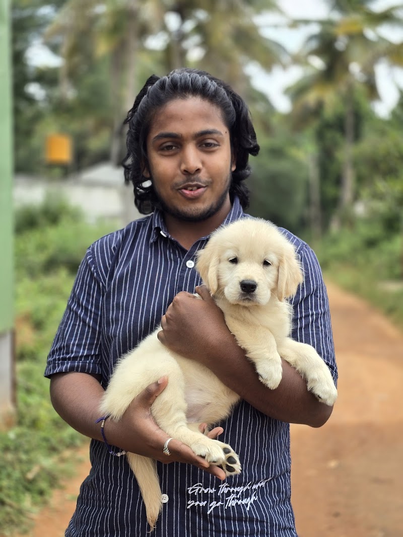 SWEET DOGS FOR LIFE — Photo 3