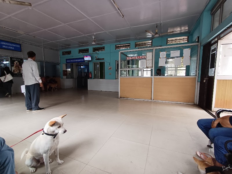 Teaching Veterinary Clinic — Photo 2