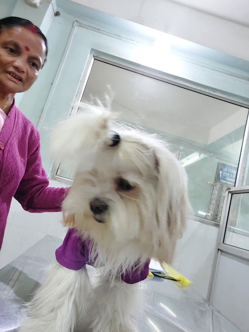 Teaching Veterinary Clinic — Photo 3