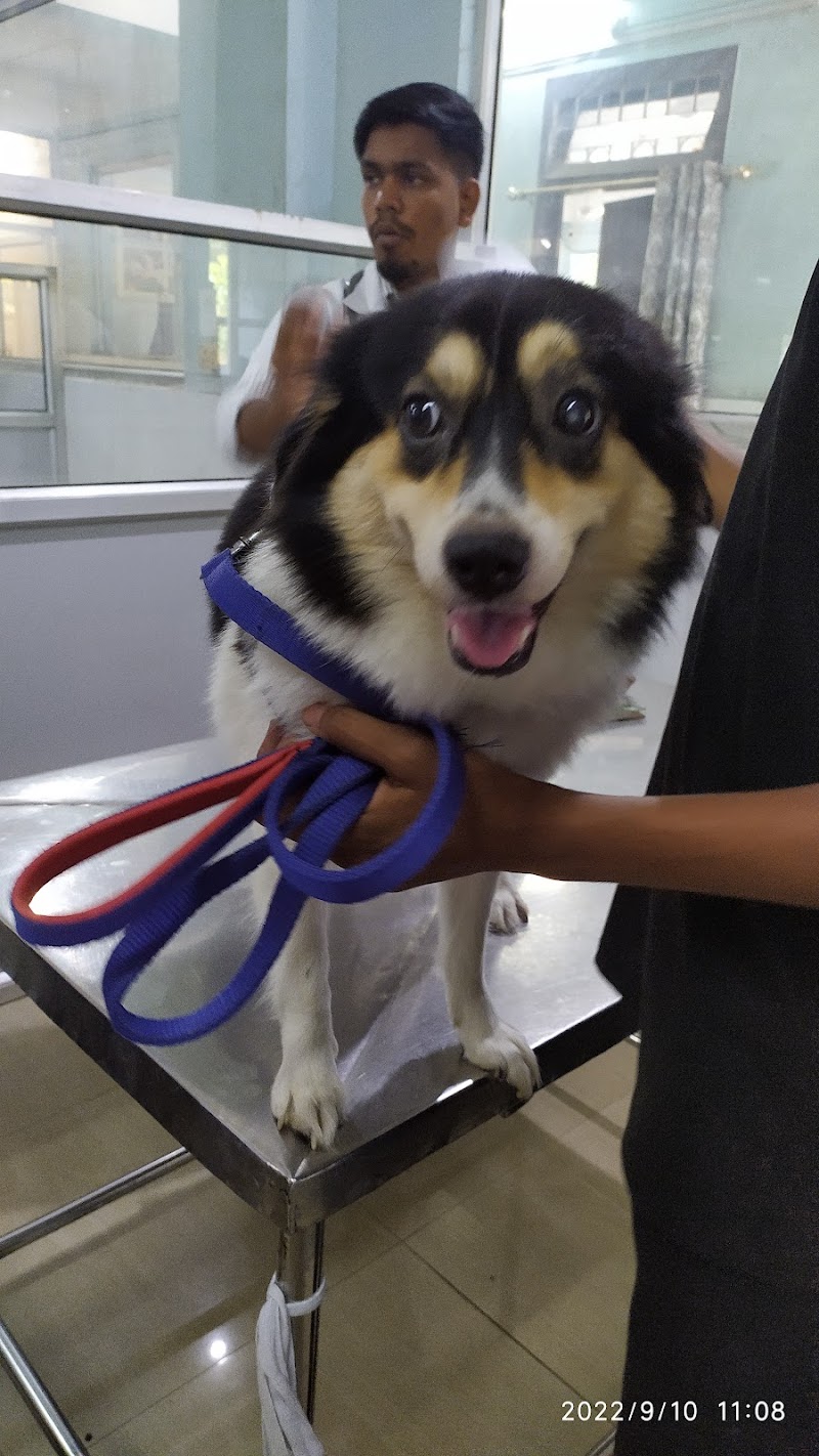 Teaching Veterinary Clinic — Photo 4