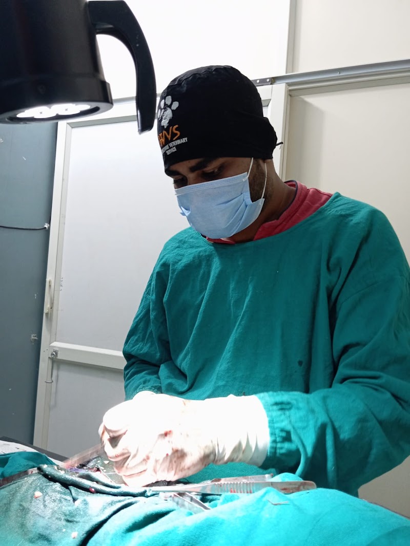 The Aniheal Pet Clinic&Surgical Centre — Photo 2