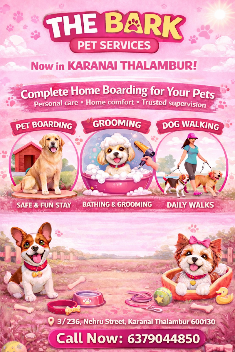 The Bark Pets Boarding & gromming services