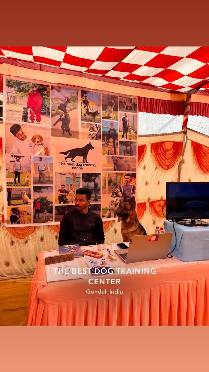 The best dog training center and hostel — Photo 2