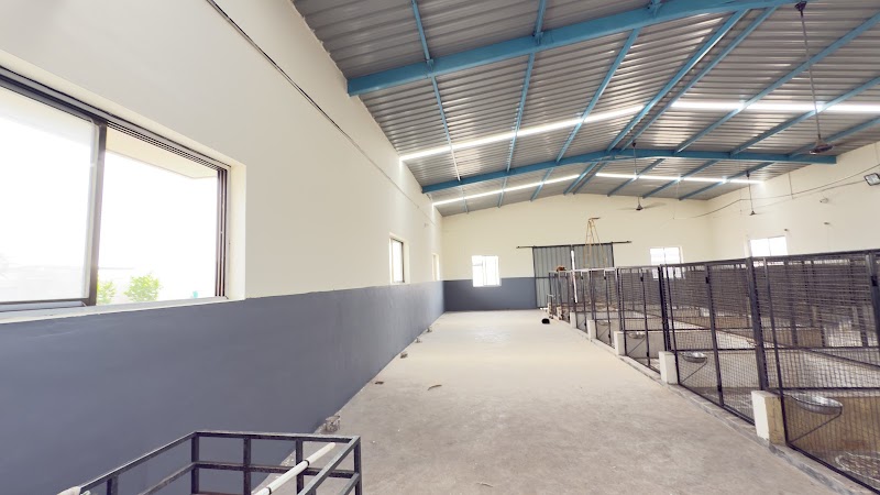 The best dog training center and hostel — Photo 3