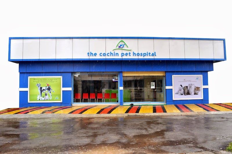 The Cochin Pet Hospital — Photo 3