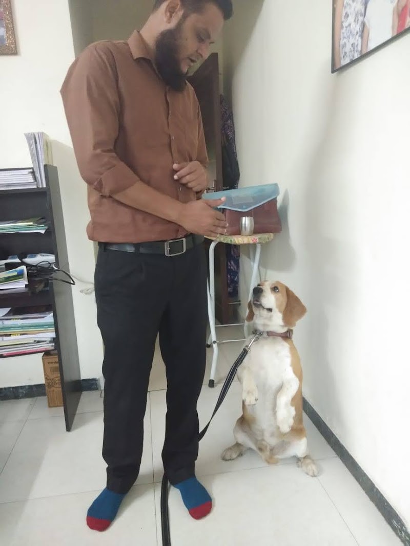 The DOG Trainer — Photo 4