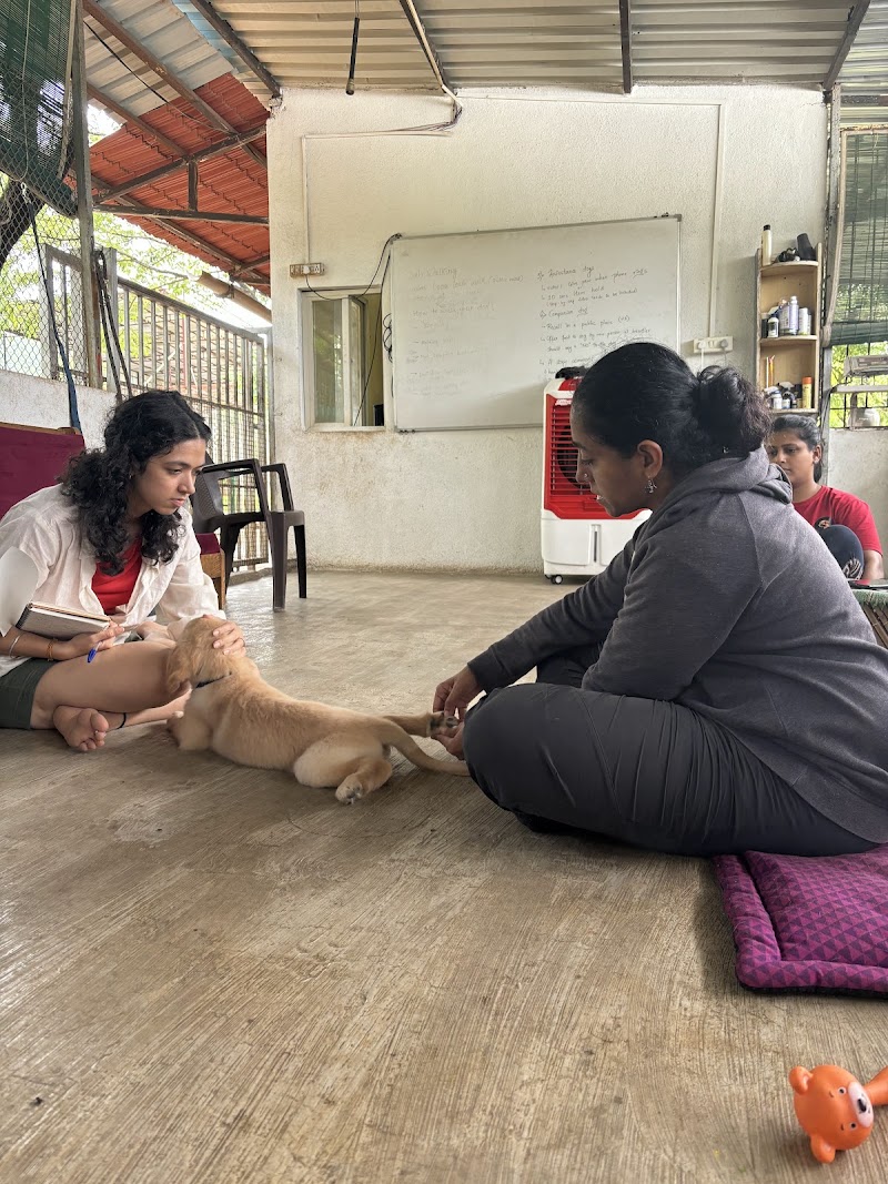 The DOGZ Place — Photo 2