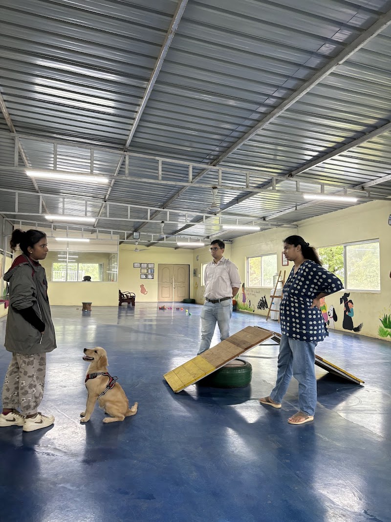 The DOGZ Place — Photo 3