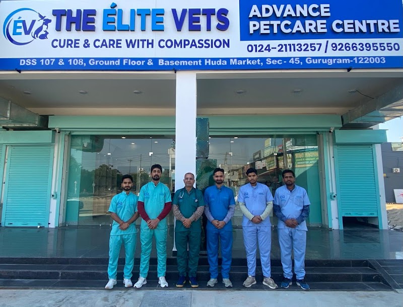 The Élite Vets Advanced Petcare