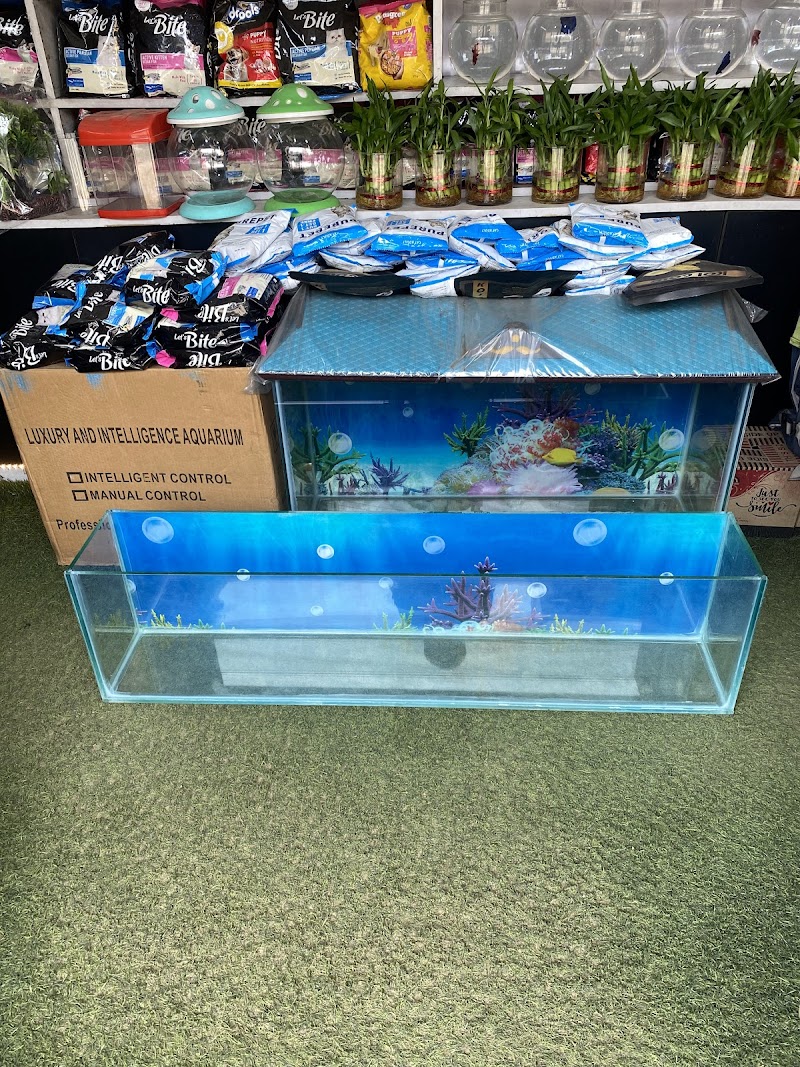 THE GREEN Aquarium — Photo 2