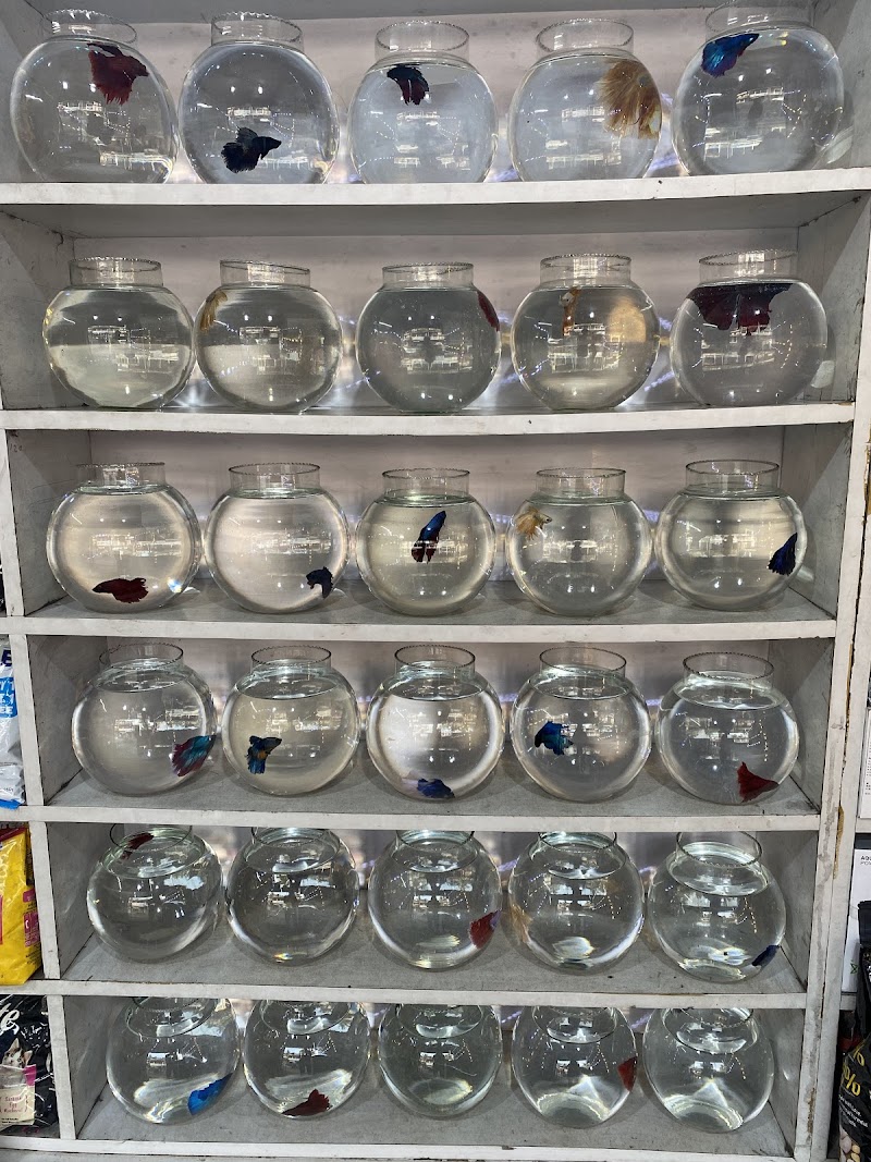 THE GREEN Aquarium — Photo 4