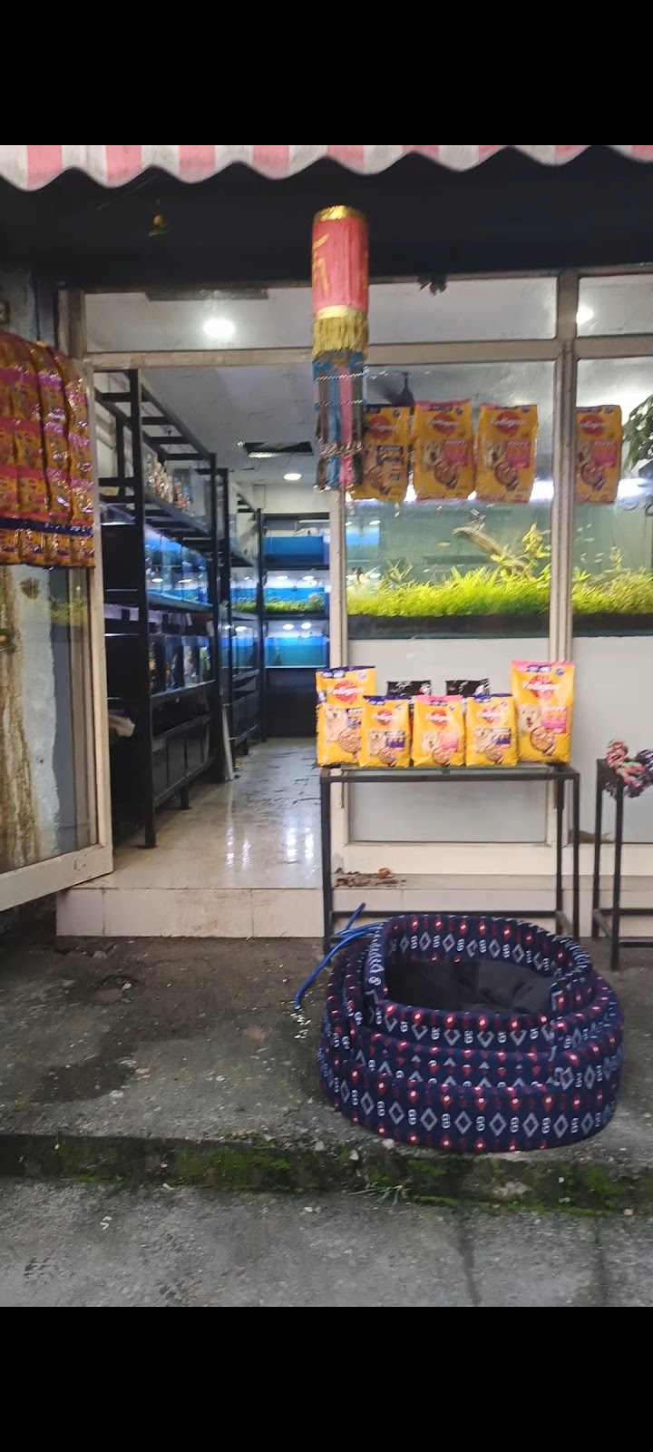 The Nature Scapers - Pet Shop — Photo 2