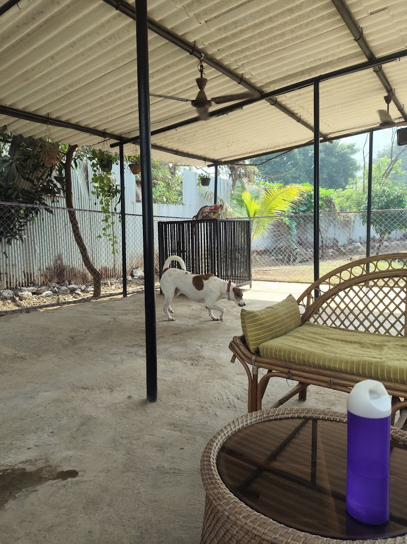 The Ohana At Thane - Pet Boarding and Pet Training centre — Photo 2
