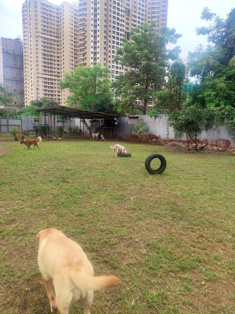 The Ohana At Thane - Pet Boarding and Pet Training centre — Photo 3