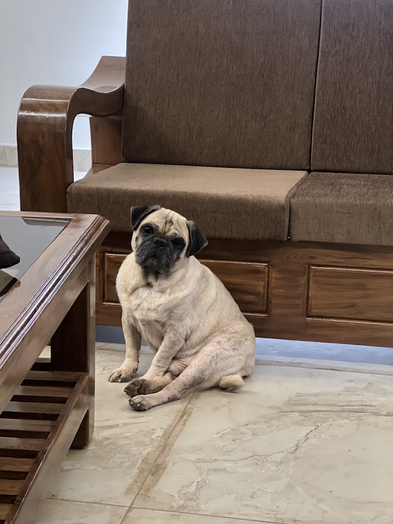 The Paws Valley — Photo 3