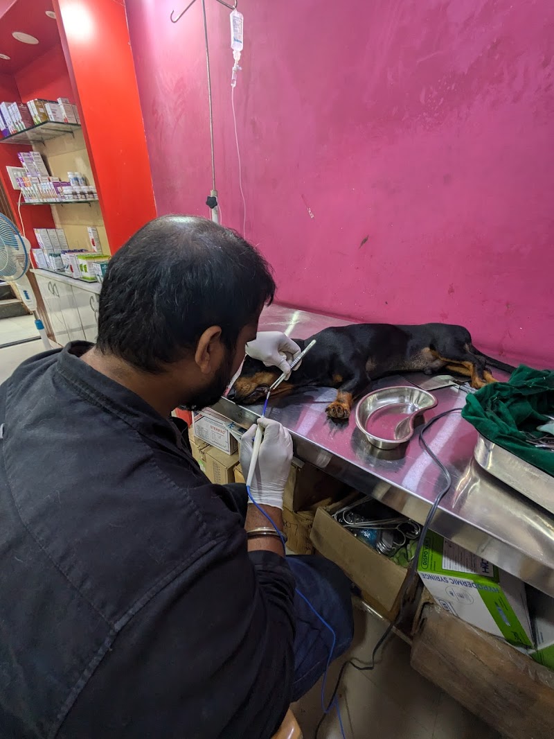 The Paws Valley — Photo 4