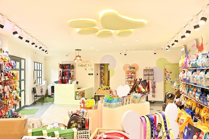 THE PET BOUTIQUE — Photo 4