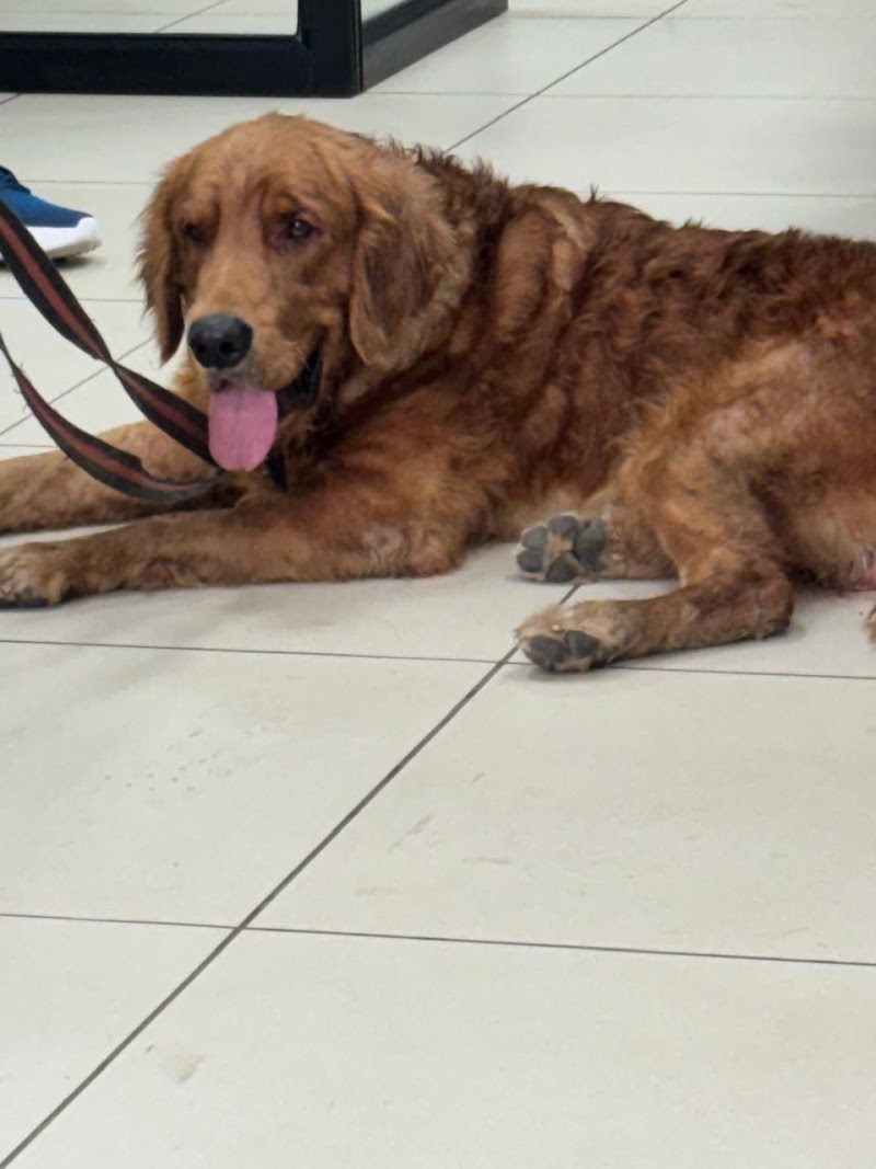 The Pet Cove Veterinary Clinic