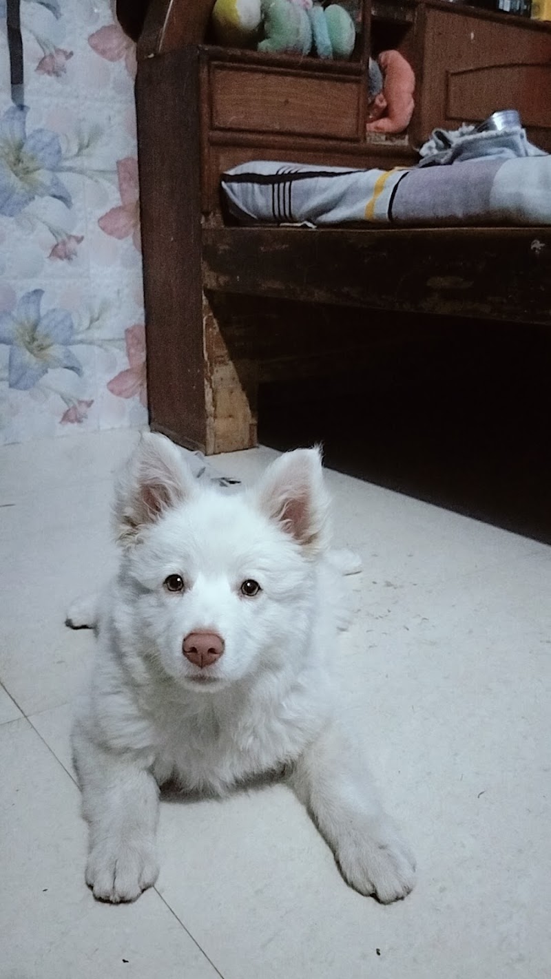 The Pet Empire — Photo 3