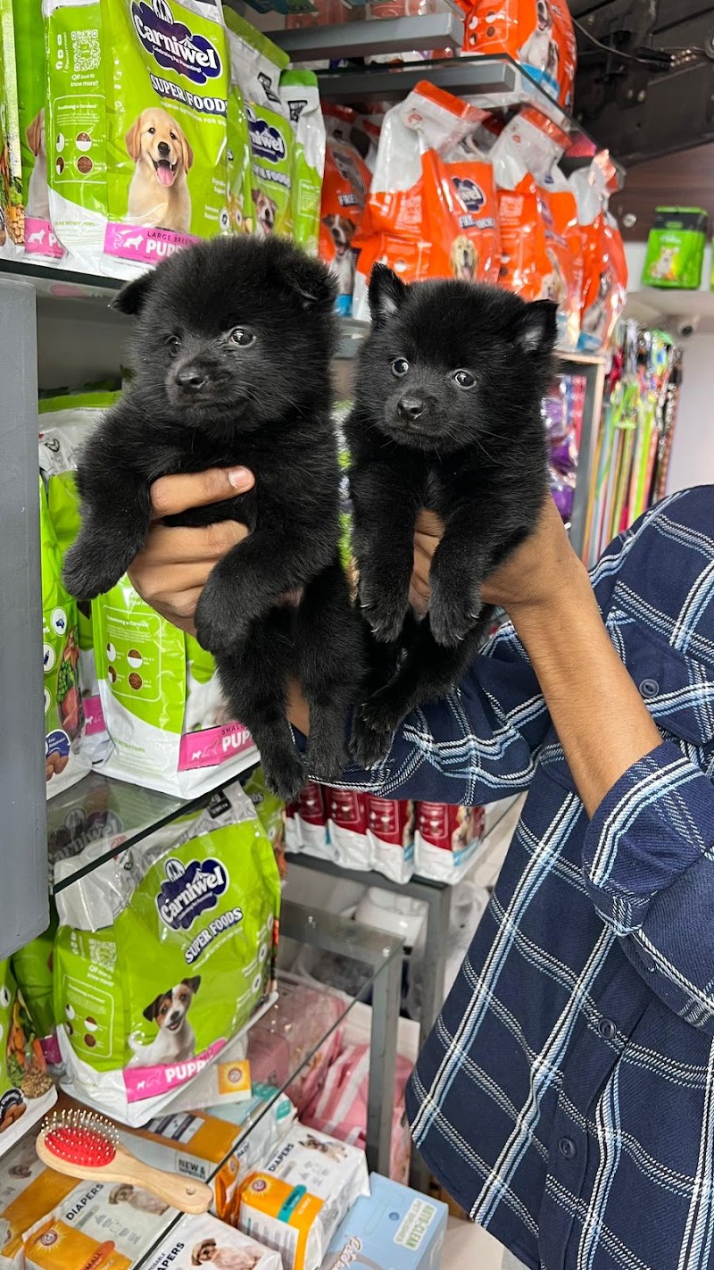 The Pet Emporium — Photo 4