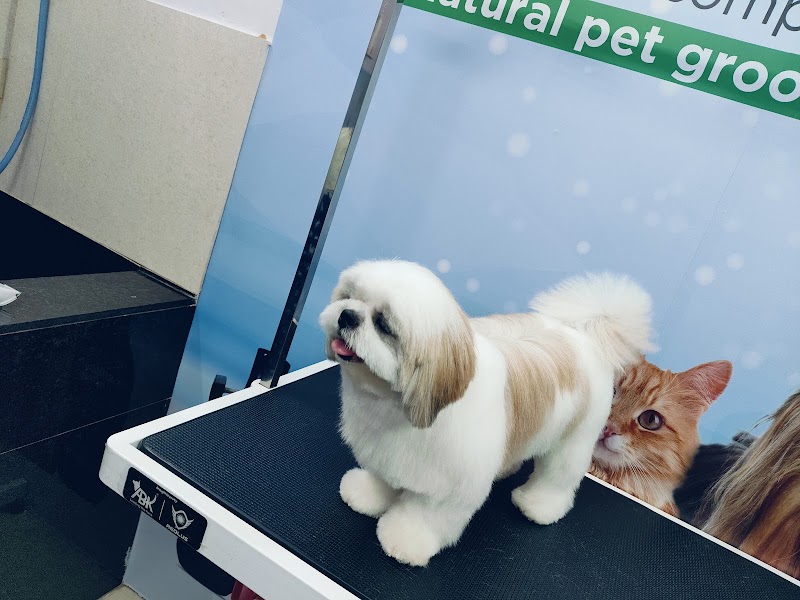 The Pet Glow — Photo 4