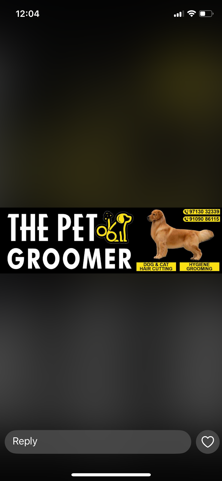 The Pet Groomer
