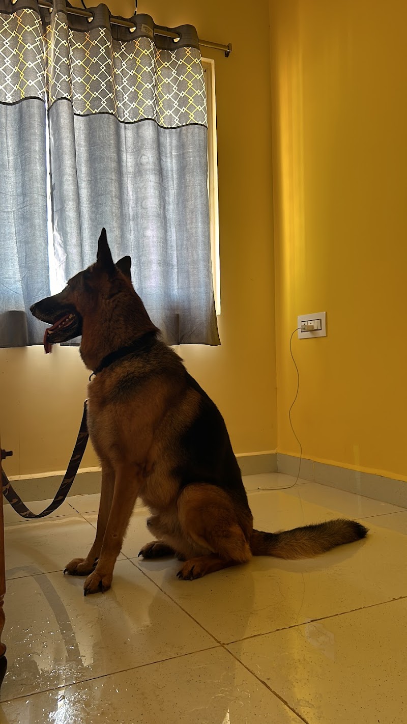 The Pet Hostel (A Hostel For Dogs) — Photo 3