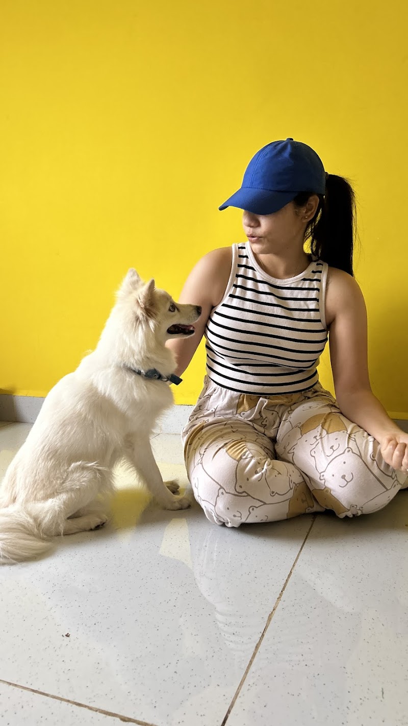 The Pet Hostel (A Hostel For Dogs) — Photo 4