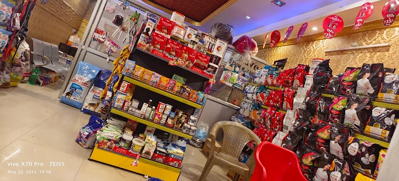 The Pet Nation — Photo 3