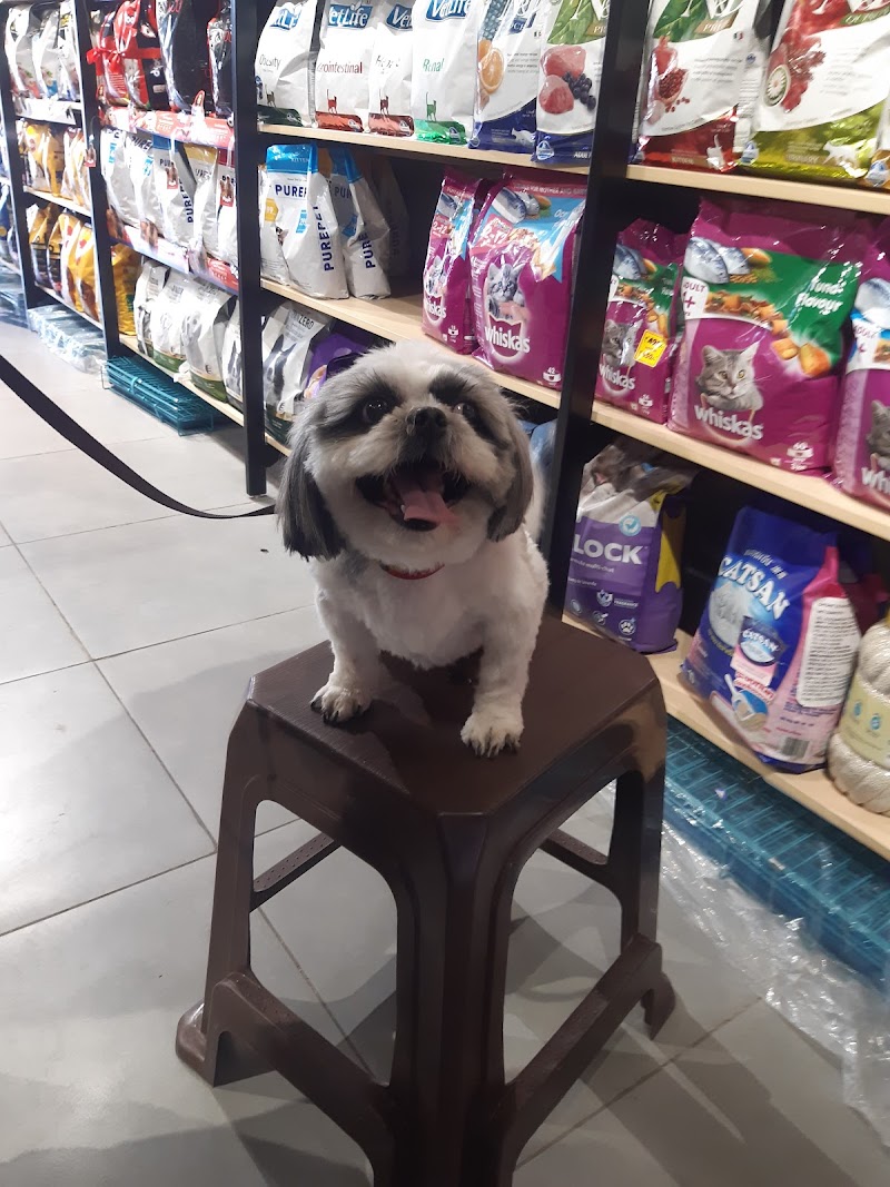 The Pet Point — Photo 3