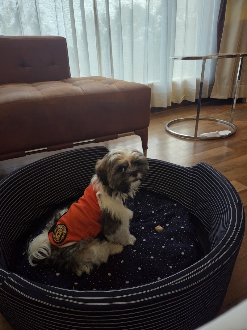 The Pet Point — Photo 4