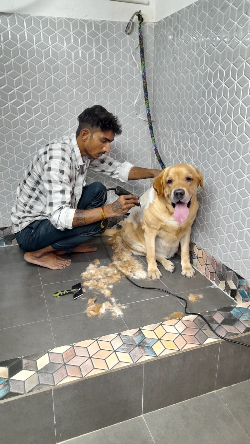 The Pet Shop — Photo 2