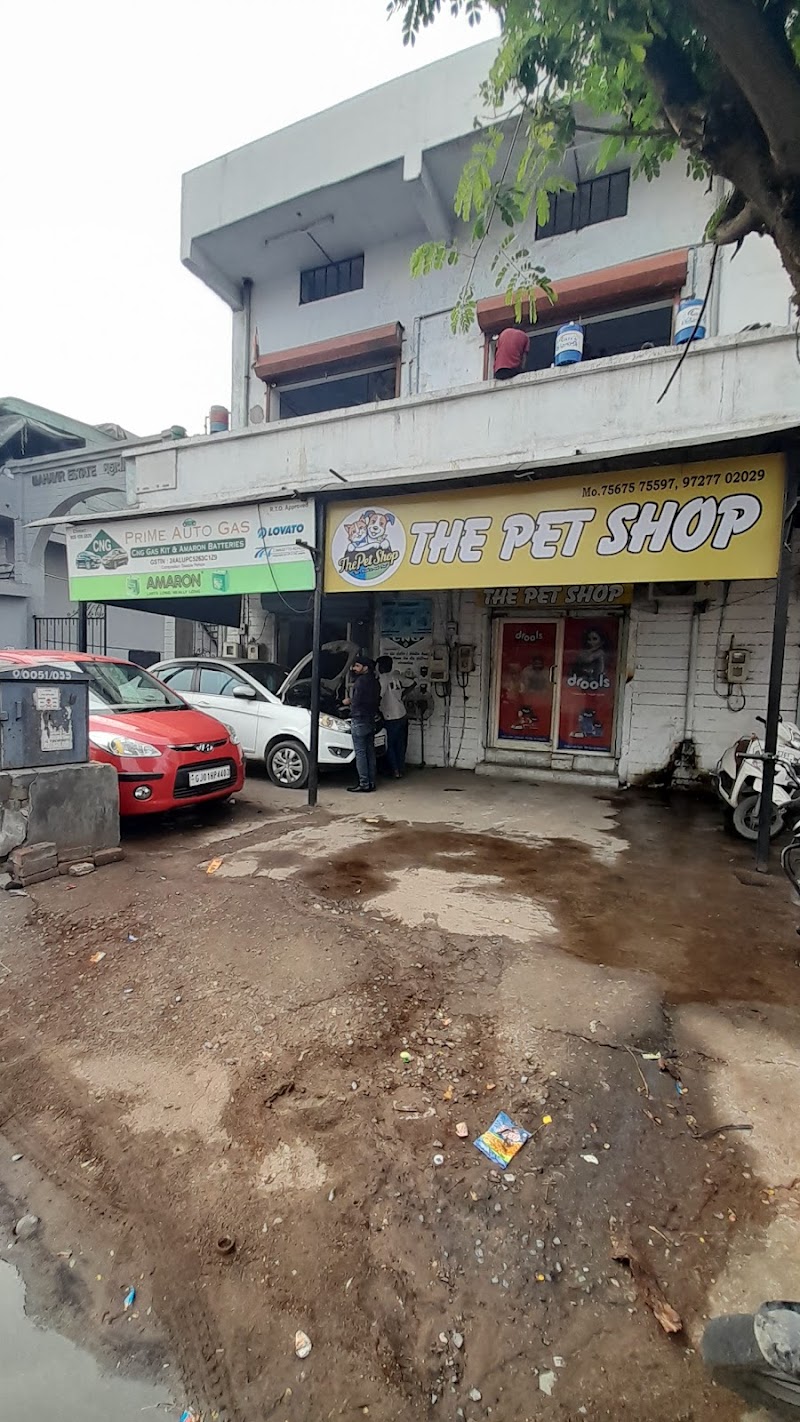 The Pet Shop — Photo 3