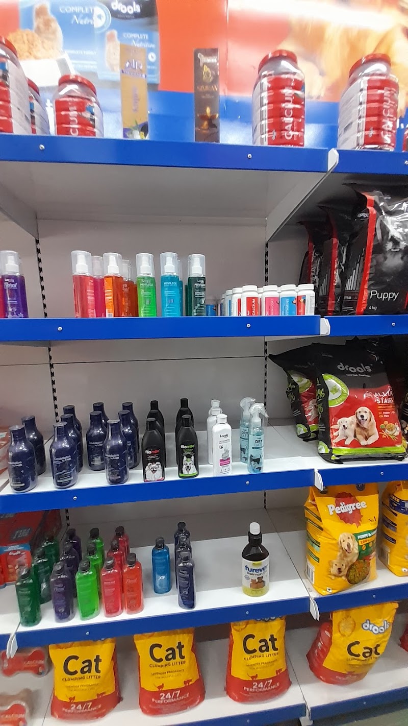 The Pet Shop — Photo 4