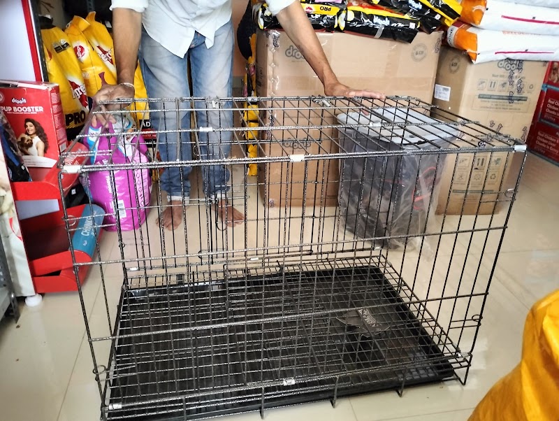 The pet shop — Photo 4