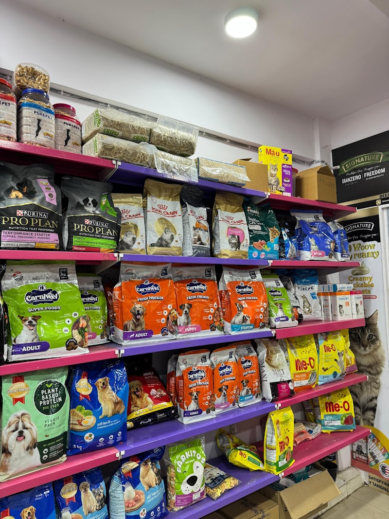 The Pet Store - Pal — Photo 3