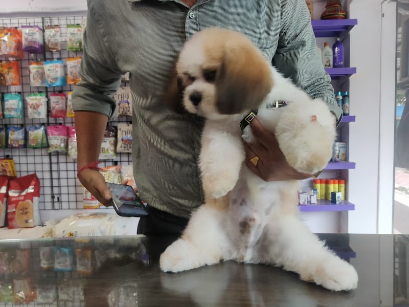 The Pet Store - Pal — Photo 4