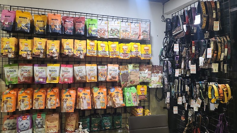 The Pet Store — Photo 2