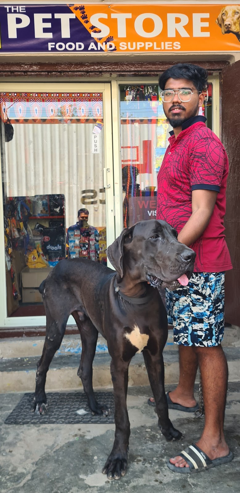 THE PET STORE — Photo 2