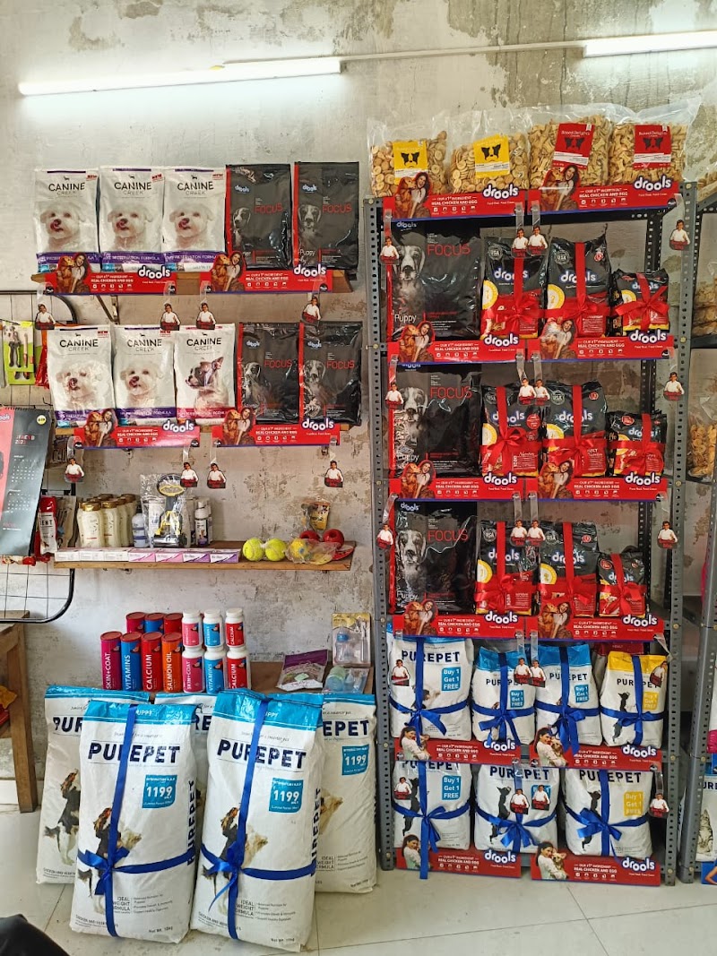 THE PET STORIES — Photo 4