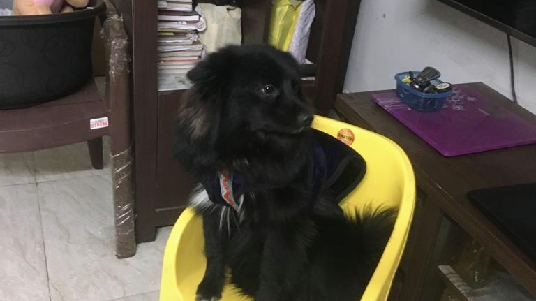 The Petkeeper : Training , Hostel & Assesories