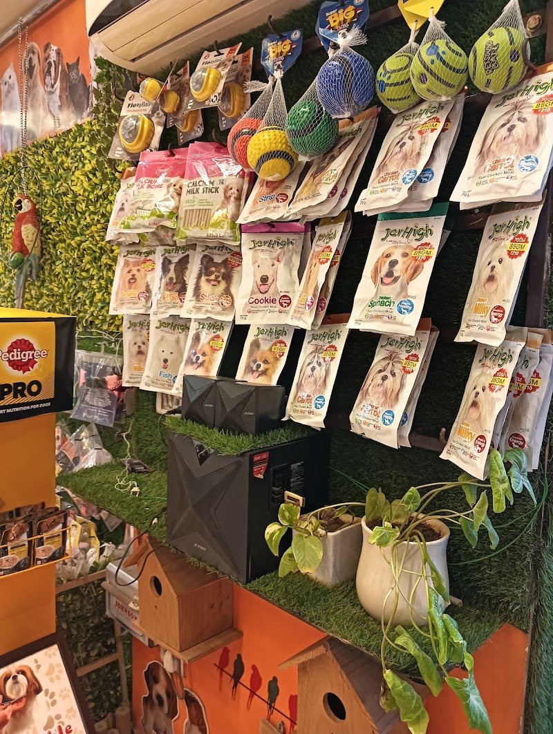 The Petland — Photo 2